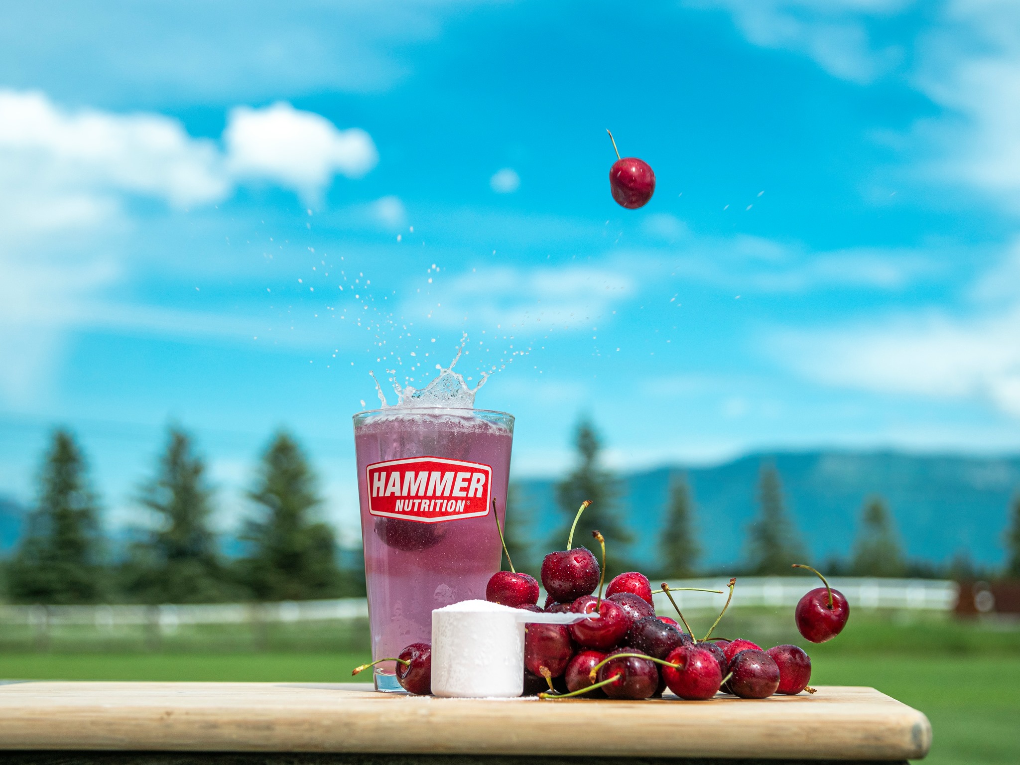 Download the Hammer Nutrition Case Study